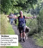  ??  ?? ‘Walkies’ Auchterard­er’s Deely Cumming, with five-year-old Turkish Kangal, Fred