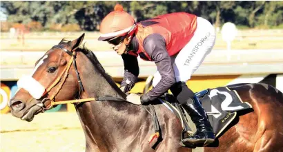  ??  ?? TOPWEIGHT. Bold Coast can follow up on his win over Vulcan when he lines up in Race 7 at the Vaal tomorrow. Keagan de Melo rides.