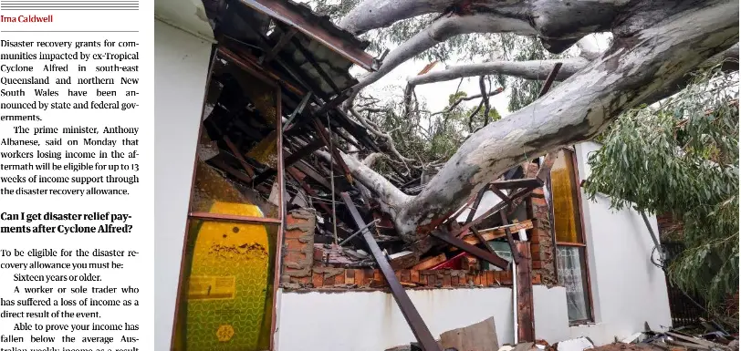 Cyclone Alfred disaster relief payment: here’s what you need to know ...