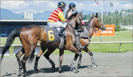  ?? ARLEN REDEKOP/PNG ?? People were offered the chance to pay $250 for one of 200 shares in two racehorses at Hastings Racecourse in Vancouver on Monday. Ten people have already signed up.