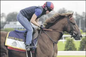  ?? JULIE JACOBSON / AP ?? Belmont Stakes morninglin­e favorite Irish War Cry is worked by assistant trainer Alice Chapman on Friday morning in preparatio­n for today’s 149th running of the Belmont Stakes.