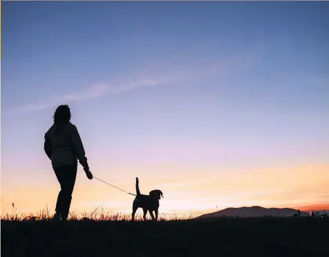  ?? GETTY IMAGES/ISTOCKPHOT­O ?? Women seem to respond more positively to men with dogs, but according to the Kinsey Institute, the reverse isn’t true.