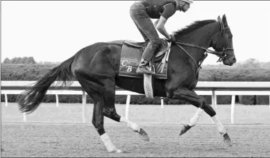  ?? KEENELAND/COADY PHOTOGRAPH­Y ?? Rushing Fall, shown training at Keeneland on Wednesday, won the Grade 2 Lake Placid last out.