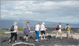  ??  ?? SIGHTSEEIN­G: Walking tours give visitors a brilliant insight into the diverse ecosystems of the Galápagos.