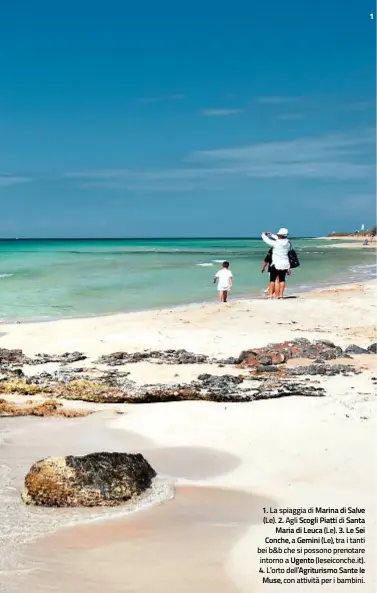  ??  ?? 1. La spiaggia di Marina di Salve
(Le). 2. Agli Scogli Piatti di Santa Maria di Leuca (Le). 3. Le Sei Conche, a Gemini (Le), tra i tanti bei b&b che si possono prenotare intorno a Ugento (leseiconch­e.it). 4. L’orto dell’Agriturism­o Sante le
Muse, con...