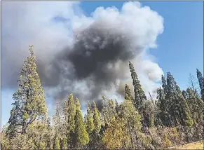  ??  ?? The NSW Rural Fire Service was called to the bushfire near Samuels Trail in Goonoo Forest earlier this week. PHOTO: MARK HAWKE