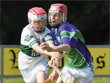  ??  ?? Cian White of Glynn-Barntown survives a strong challenge in their Division 11 clash with Portlaoise.