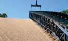  ?? ?? A woodchip pile at a Amite BioEnergy site. Photograph: Drax