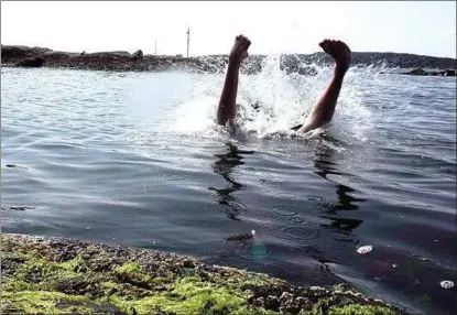  ?? FOTO: ALF OVE HANSEN ?? I juli ble fire mennesker smittet av den kjøttetend­e bakterien Vibrio vulnificus. Den er kjøttetend­e og dukker opp når det er varmt i vannet og lavt saltinnhol­d.