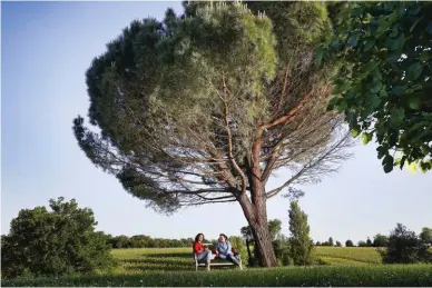  ??  ?? Au domaine du château Thieuley, Sylvie (à g.) et Marie Courselle.