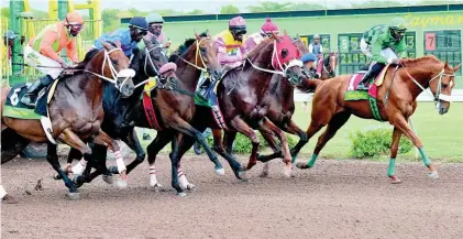  ?? IAN ALLEN ?? Horses leaving the starting gates at Caymanas Park.