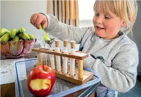  ?? PHOTO: JOSEPH JOHNSON/FAIRFAX NZ ?? Izzy Foulds, 4, shows how much sugar is contained in various products.