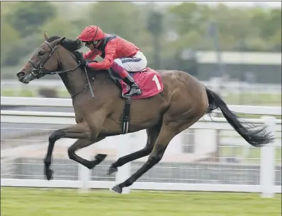  ?? PICTURE: GETTY ?? CLASS ACT: The unbeaten Emily Upjohn, trained by John and Thady Gosden, is the ante-post favourite for the Musidora Stakes at York.