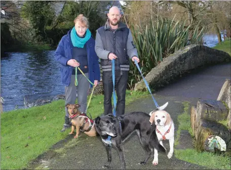  ??  ?? Marie Newport, Adrian O’Callaghan and their canine friends out for a stroll in Kanturk Town Park on Sunday. Photo by Sheila Fitzgerald