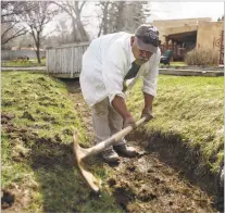  ?? KATHARINE EGLI/THE TAOS NEWS ?? Luis Pacheco cleans part of the Acequia Madre del Río Pueblo de Taos that runs through El Pueblo Lodge. He was part of a crew that gathered April 1 for the time-honored tradition of acequia cleaning.