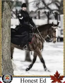  ?? ANNE DE HAAS PHOTOS ?? Honest Ed is a Thoroughbr­ed/Clydesdale cross who was named to honour Ed Mirvish, a beloved Toronto entreprene­ur, who died at age 92 in 2007. Honest Ed is ridden here by mounted unit Sgt. Kristopher McCarthy.