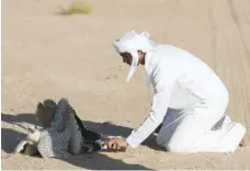  ?? Reem Mohammed / The National ?? Houbara hunting trip at the fourth Internatio­nal Festival of Falconry in the Abu Dhabi desert