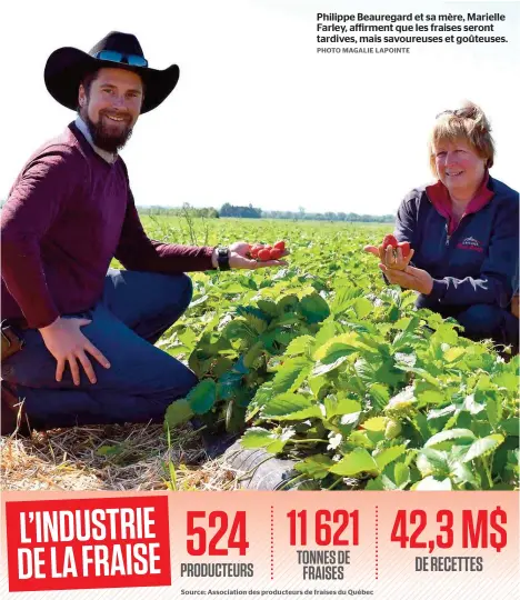  ??  ?? Philippe Beauregard et sa mère, Marielle Farley, affirment que les fraises seront tardives, mais savoureuse­s et goûteuses.