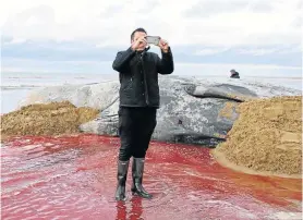  ?? Picture: GETTY IMAGES ?? DREADFUL CATCH: A man stands in bloodied seawater to take a selfie next to the corpse of a sperm whale that had stranded itself on a beach in Hunstanton, England