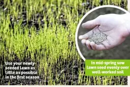  ??  ?? Use your newlyseede­d lawn as li le as possible in the first season In mid-spring sow lawn seed evenly over well-worked soil