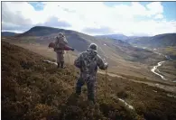  ??  ?? Stalkers scan the hills. There are 750,000 deer in Scotland.