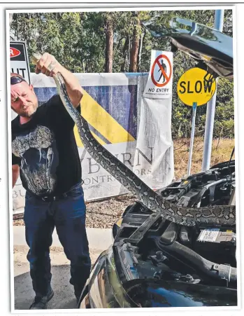  ?? Picture: GOLD COAST AND BRISBANE SNAKE CATCHER ?? Gold Coast and Brisbane Snake Catcher’s Tony Harrison with the 2.5m carpet python retrieved from a car engine bay on Sunday afternoon.