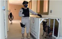  ?? Supplied photo ?? INNOVATION: The device introduced by the Abu Dhabi Police will sterilise dogs before and after their tasks. —