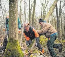  ?? FOTO: DPA ?? Nehmen ihr Recht wahr: Gustav Guckenberg­er und Walter Kreußer beim Holzfällen.