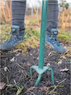  ?? FOTO: DPA ?? Im Frühjahr muss der Beetboden aufgelocke­rt werden.