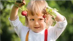  ?? GETTY ?? Gardening can help kids willingly consume more healthy fruits and vegetables.