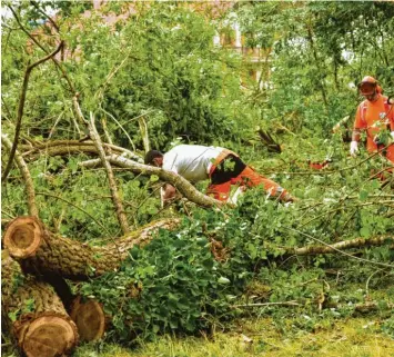  ?? Fotos: Maximilian Czysz, Elmar Knöchel ?? Besonders viele Bäume riss das Unwetter im Westen von Großaiting­en zwischen Sportplatz­gelände und Wertach um. Am Tennisplat­z krachte eine Kiefer in ein Spielfeld. Am Tag nach dem Unwetter wurden Äste und umgestürzt­e Bäume zersägt.