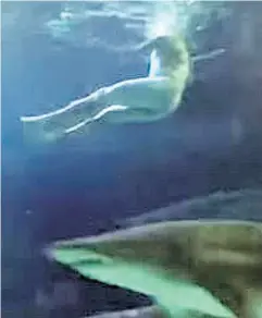  ??  ?? Toronto police are looking to speak with a man who stripped naked and jumped into a shark tank at a popular tourist attraction in the city.