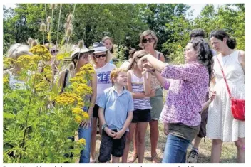  ??  ?? Fanny Mesquida souhaite transmettr­e sa passion des plantes au grand public.