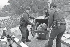  ?? PROVIDED BY COLLEGE STATION FIRE DEPARTMENT ?? Members of the College Station Fire Department help move a 150-pound tortoise indoors.