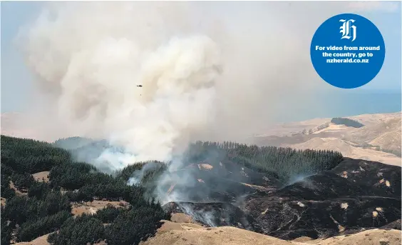  ?? Picture / NZME ?? The grass and forest fire near Waimarama Rd in Hawke’s Bay has left blackened swathes in its wake. H For video from around the country, go to nzherald.co.nz