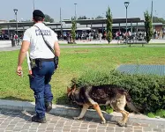  ??  ?? I controlli Un agente della Polizia municipale impegnato ieri con un cane antidroga fuori dalla stazione