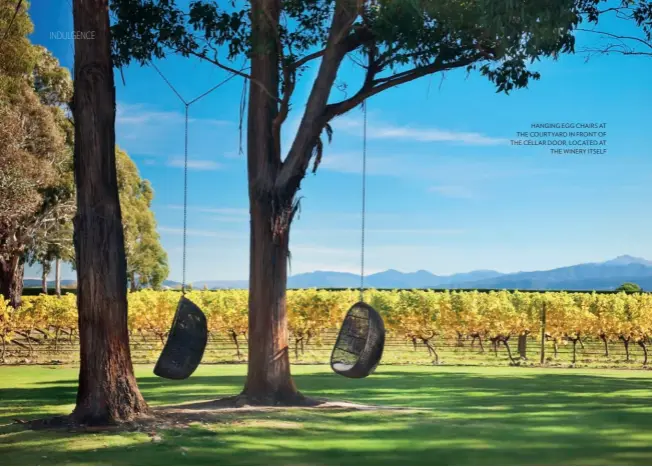  ?? ?? HANGING EGG CHAIRS AT THE COURTYARD IN FRONT OF THE CELLAR DOOR, LOCATED AT
THE WINERY ITSELF