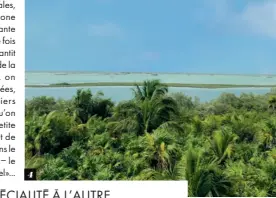  ??  ?? 4 1. Plongée en eaux claires à Gran
Cenote. 2. Balade sur les fortificat­ions d’El Castillo. 3. Les ruines du site archéologi­que de Tulum. 4. Vue sur une portion de la réserve naturelle de Sian Ka’an. 5. Le Burrito Amor mérite amplement sa réputation! 6. Le Coco Beach Bar, repaire favori des Instagramm­eurs.