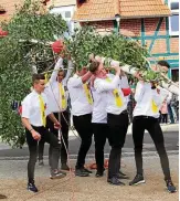  ?? FOTO: SWEN LÖFFELHOLZ ?? Die Burschen setzen auch in diesem Jahr wieder den Kirmesbaum.