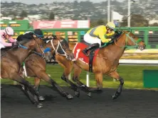  ?? Shane Micheli / Vassar Photograph­y ?? Tribal Storm, with jockey Irving Orozco aboard, won the Lost in the Fog Stakes at Golden Gate Fields in a time of 1:08.71.