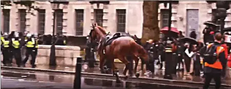  ??  ?? RUNAWAY: The police horse that lost its rider makes a bolt for it down Whitehall, spooked by the noise of the angry crowd