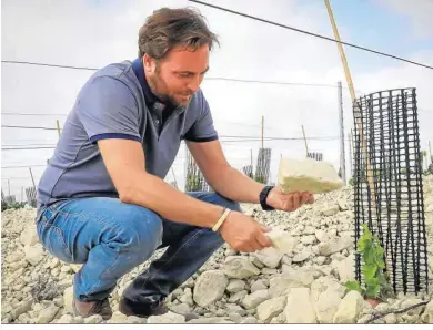  ??  ?? José Manuel Malvido muestra una de las rocas de albariza en la zona de regeneraci­ón del viñedo.