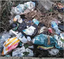  ?? Photo by John Reidy ?? One of the back gardens being subjected to persistent dumping in Castleisla­nd.