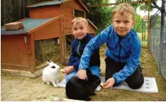  ?? Foto: Christoph Gollinger ?? Paul (8 Jahre alt, rechts) und Theo (6 Jahre alt) freuen sich über ihre Kaninchen Polly (weiß) und Mono (schwarz).