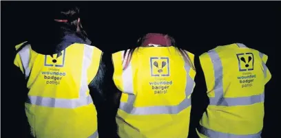  ??  ?? Cheshire Wounded Badger patrol are helping wounded badgers in Macclesfie­ld