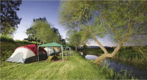  ?? (Ronan Topelberg) (Kinneret Authority) (Rami Zeev Photograph­y) ?? INDI PARK, next to the Jordan River.
Below from left:
DANIEL VAKNIN notes there are 10 official beaches around the Kinneret where guests are permitted to set up camping tents.
A LUXURY tent for glamping at Havayat Harochvim in Beit Oren.