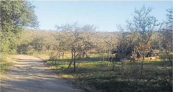  ?? (LA VOZ) ?? El lugar. Quienes se oponen cuestionan el impacto sobre el bosque nativo. Sus promotores marcan que se creará una reserva natural en el sitio.