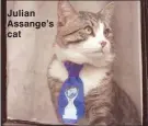  ??  ?? Julian Assange’s cat