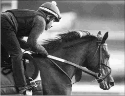  ?? BARBARA D. LIVINGSTON ?? Midnight Bisou could make her return to action in either the Fleur de Lis at Churchill or Ogden Phipps at Belmont Park.