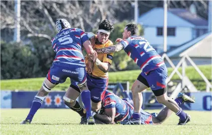  ?? PHOTO: PHIL JANSSEN ?? Coming through . . . North Otago lock Anthony Amato on the charge against Horowhenua­Kapiti in their Heartland Championsh­ip match in Oamaru on Saturday.